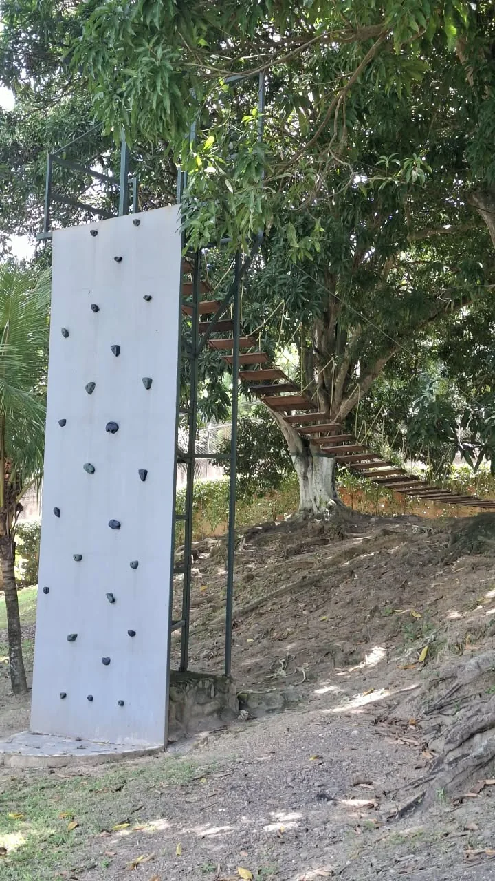 Pared de escalada y circuito de cuerdas con puente colgante entre los árboles